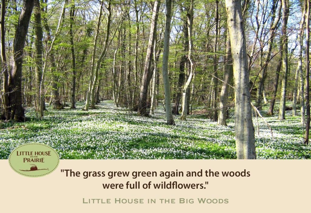he grass grew green again and the woods were full of wildflowers