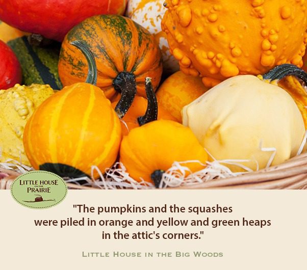 The pumpkins and the squashes were piled in orange