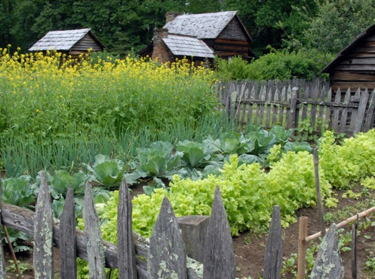 Pioneer Kitchen Gardens: How the Pioneers Planned and Planted