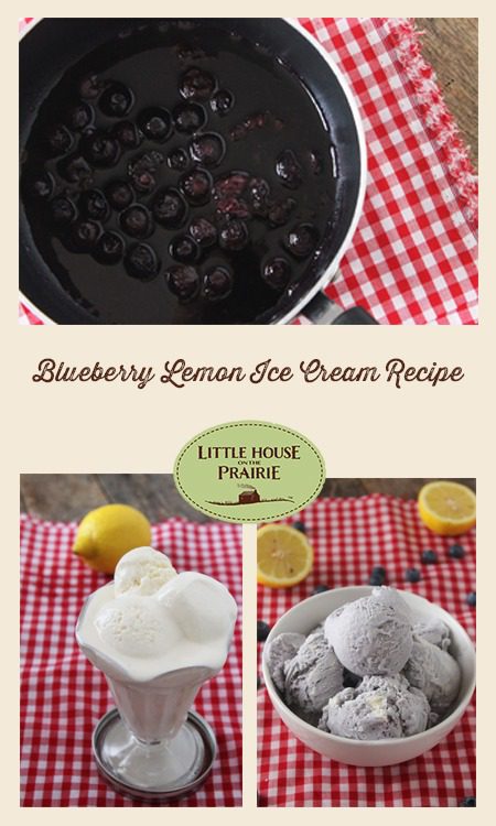 Blueberry Lemon Ice Cream Recipe