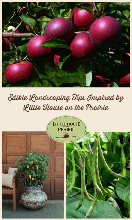 Edible Landscaping Tips Inspired by Little House on the Prairie