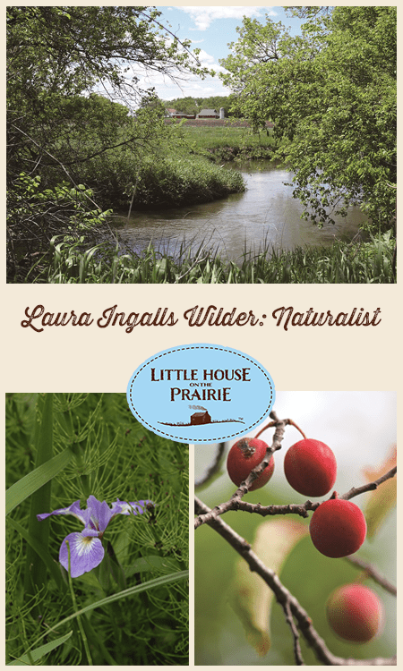 Laura Ingalls Wilder: Naturalist