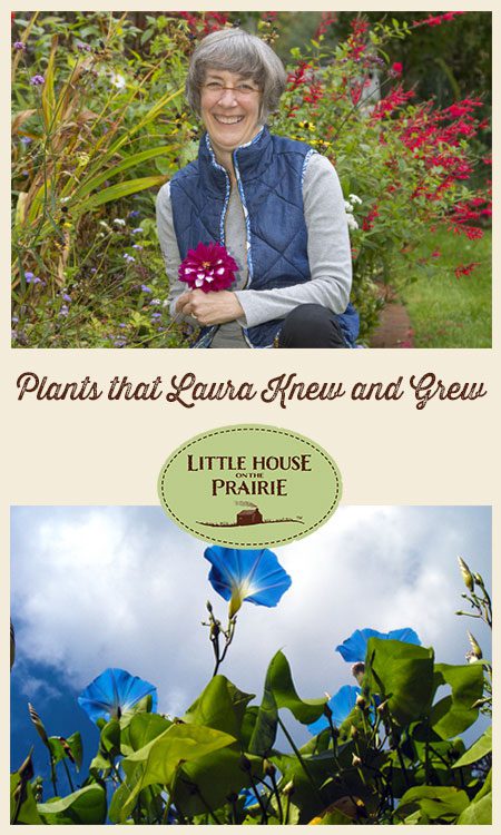 The Plants that Laura Ingalls Knew, and Grew